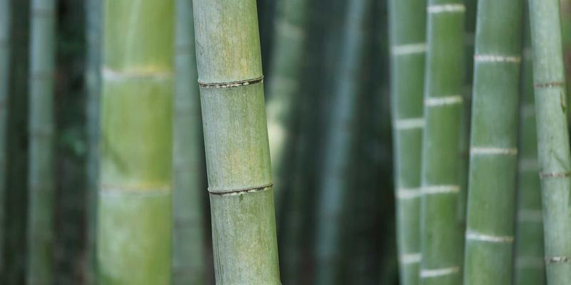 信用债违约处置实务：法律路径、回收率分析与投资者权益保护机制 | 债券投资指南