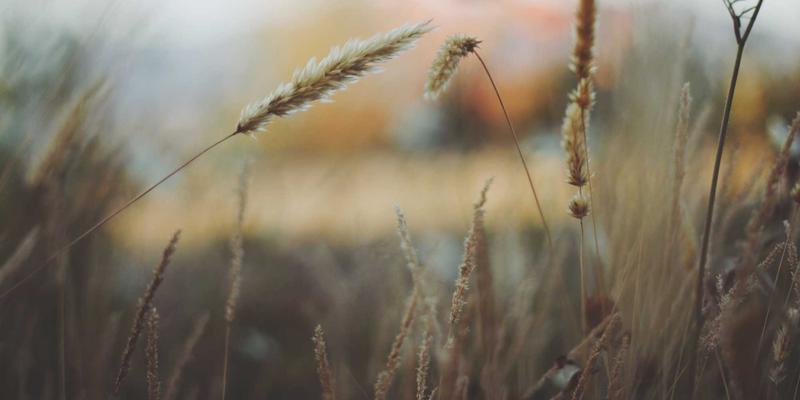 信用利差交易策略：如何利用宏观经济周期捕捉企业债与国债的相对价值