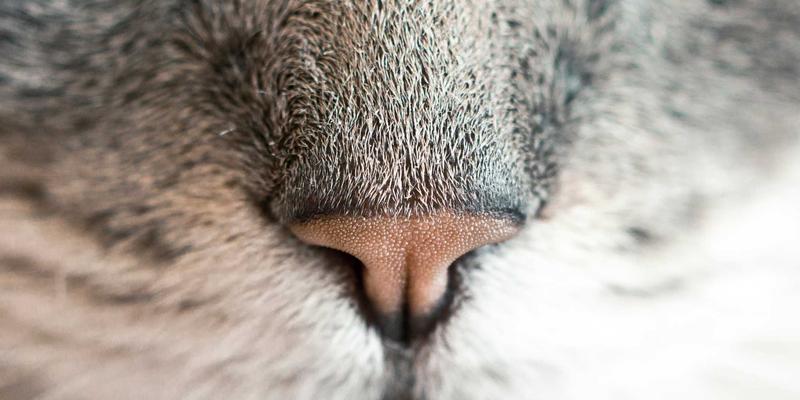 债券投资实战解析:以嘉银债券为例,透视金融服务中的固定收益机遇