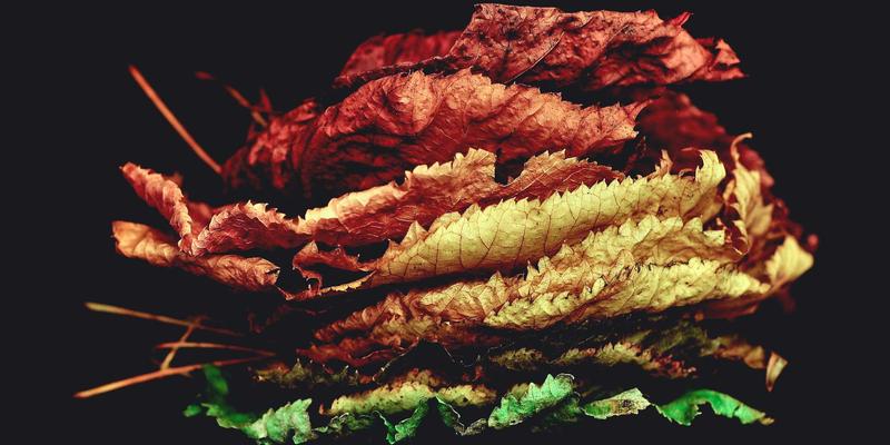 债券投资新视野：嘉银债券如何成为财富管理的稳健基石