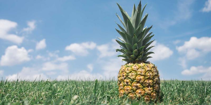 债券投资新视野：解析嘉银债券如何为您的财富保驾护航