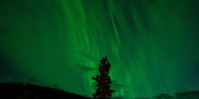 债券投资:构建稳健财富的固定收益基石