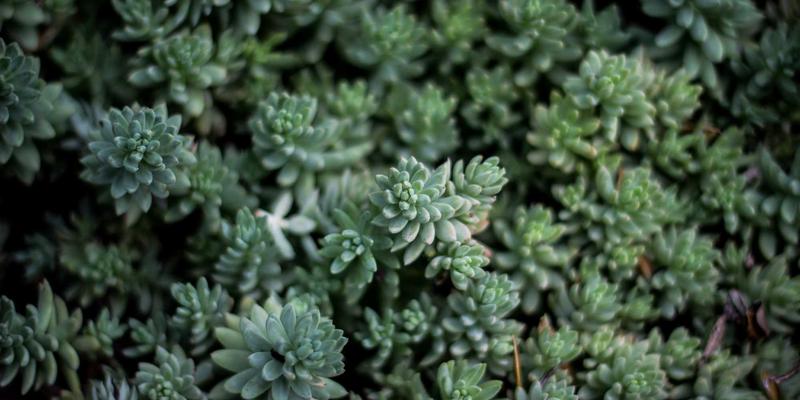 债券投资：财富管理中不可或缺的固定收益基石