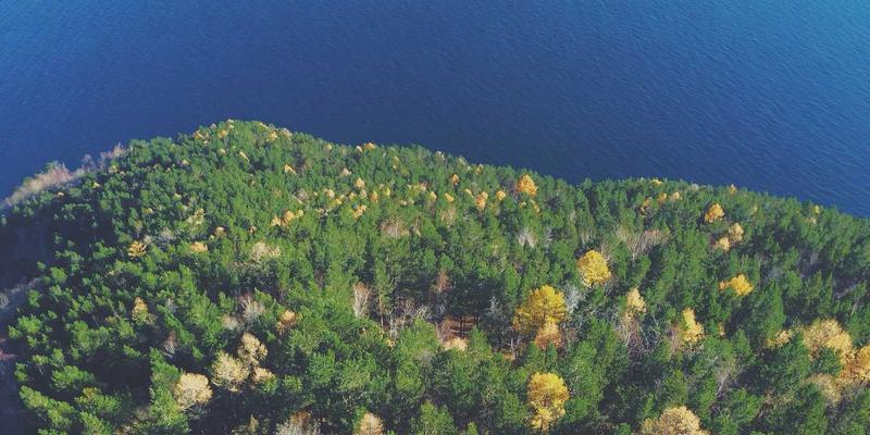 债券违约处置实战指南：固定收益投资者如何捍卫财富管理权益