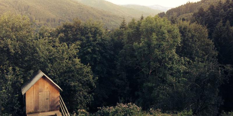 嘉银债券解析：利率债与信用债的轮动策略，如何把握经济周期中的财富管理机遇