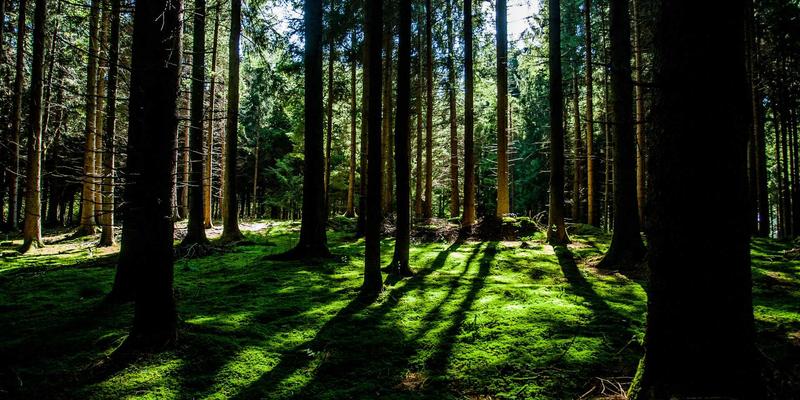 嘉银债券解析：利率波动下，如何通过久期管理优化您的固定收益投资组合