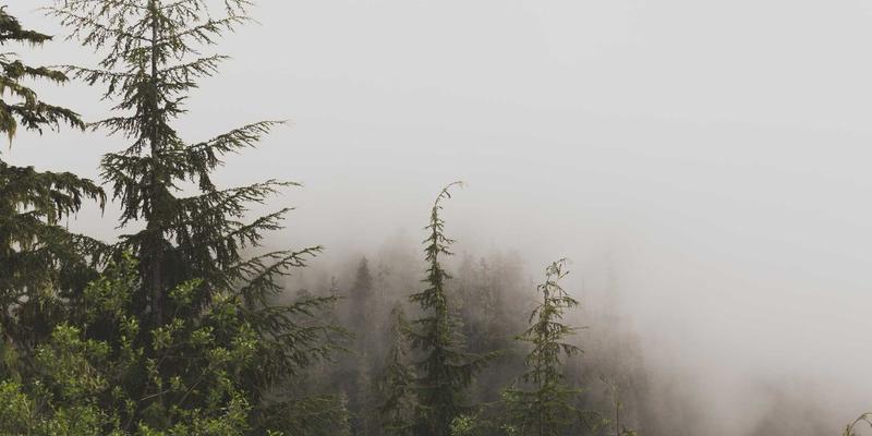 固定收益投资新选择：债券ETF与主动型债券基金的深度对比