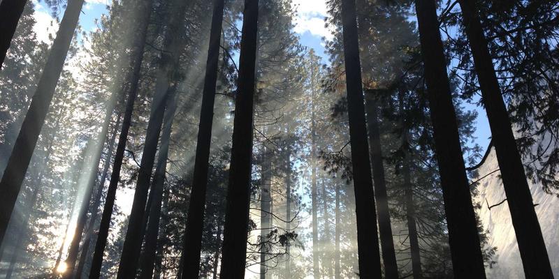 财富管理必修课：巧用债券久期与凸性，在利率波动中攻守兼备