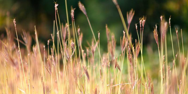 财富管理新基石：从零开始掌握债券投资与固定收益的运作机制