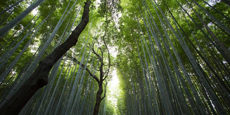财富管理新视角：解码商业银行TLAC非资本债务的投资价值与风险