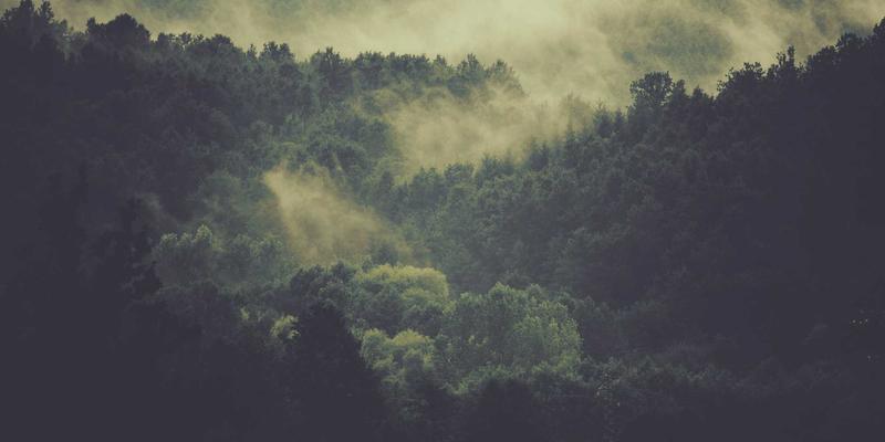 通胀保值债券(TIPS)投资指南：固定收益投资中守护购买力的核心工具